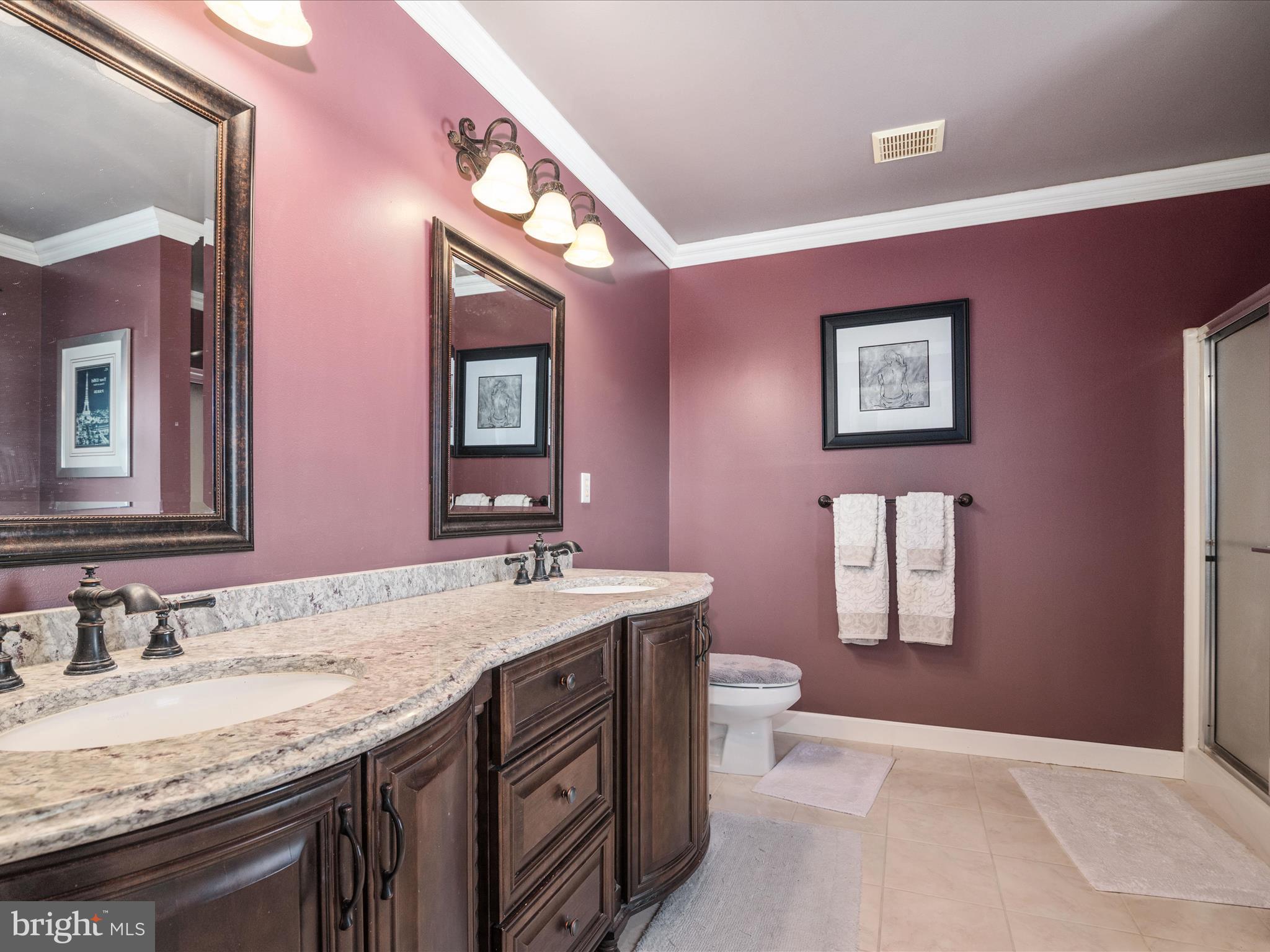 222 Beck Farm Road Centreville, MD 21617 - Photo 29 of 54 master bath with dual sink vanity