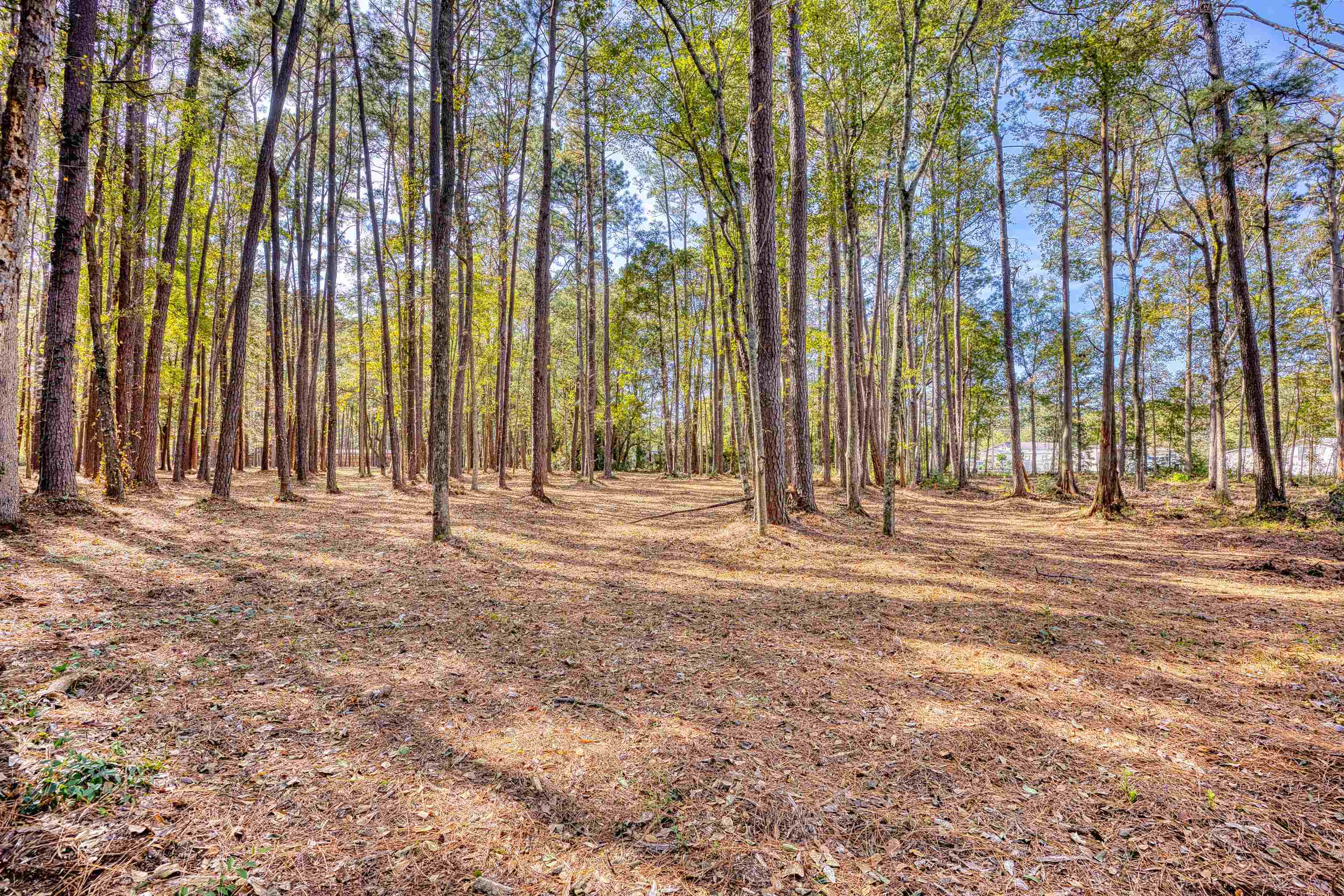 4250 Lilac Road Myrtle Beach, SC 29588 - Photo 11 of 36