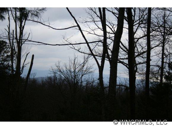 2 Uplands Road Brevard, NC 28712 - Photo 1 of 10 Gallery Image 1