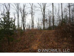 2 Uplands Road Brevard, NC 28712 - Photo 3 of 10 Gallery Image 3