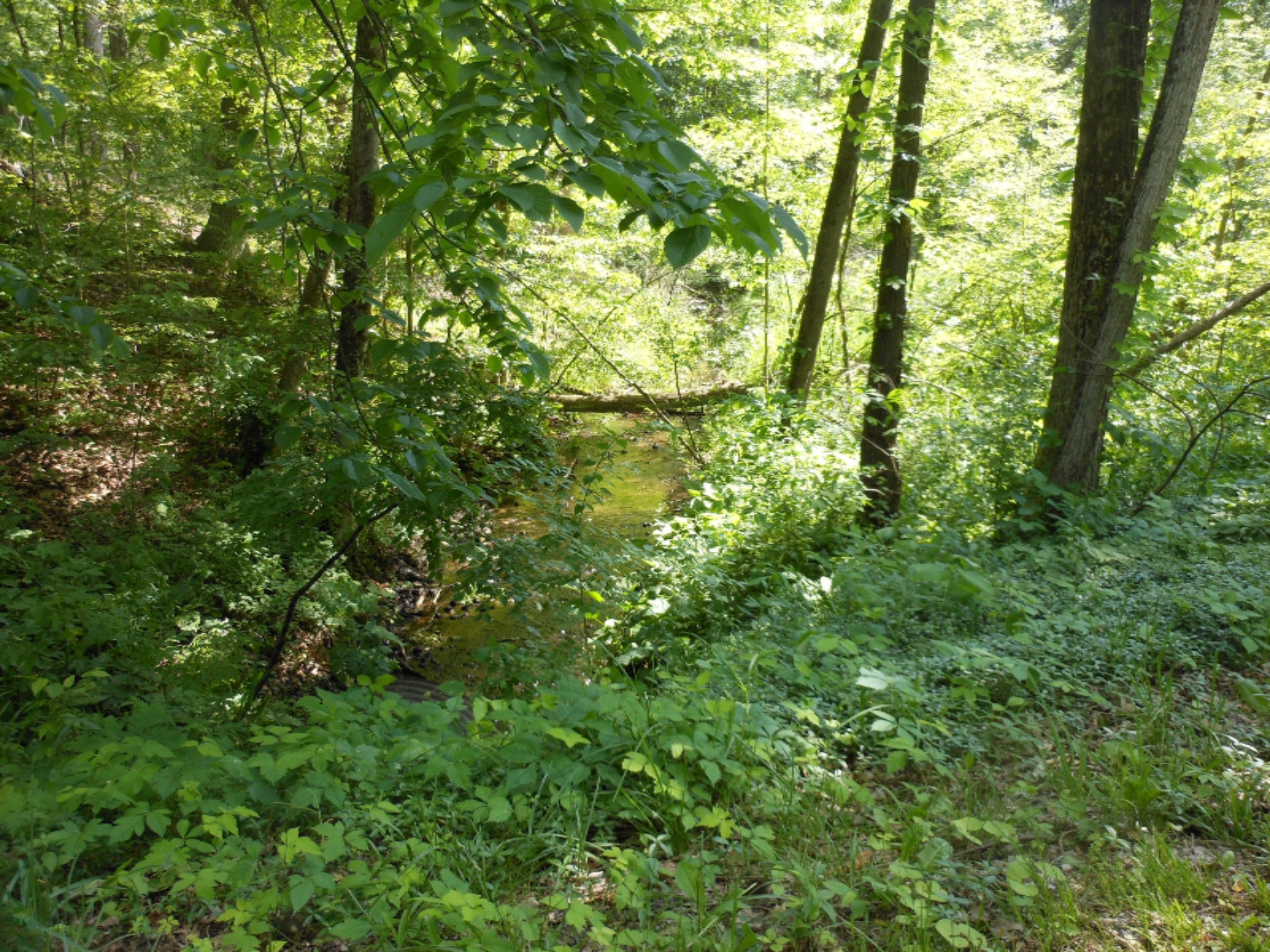 DSCN3613