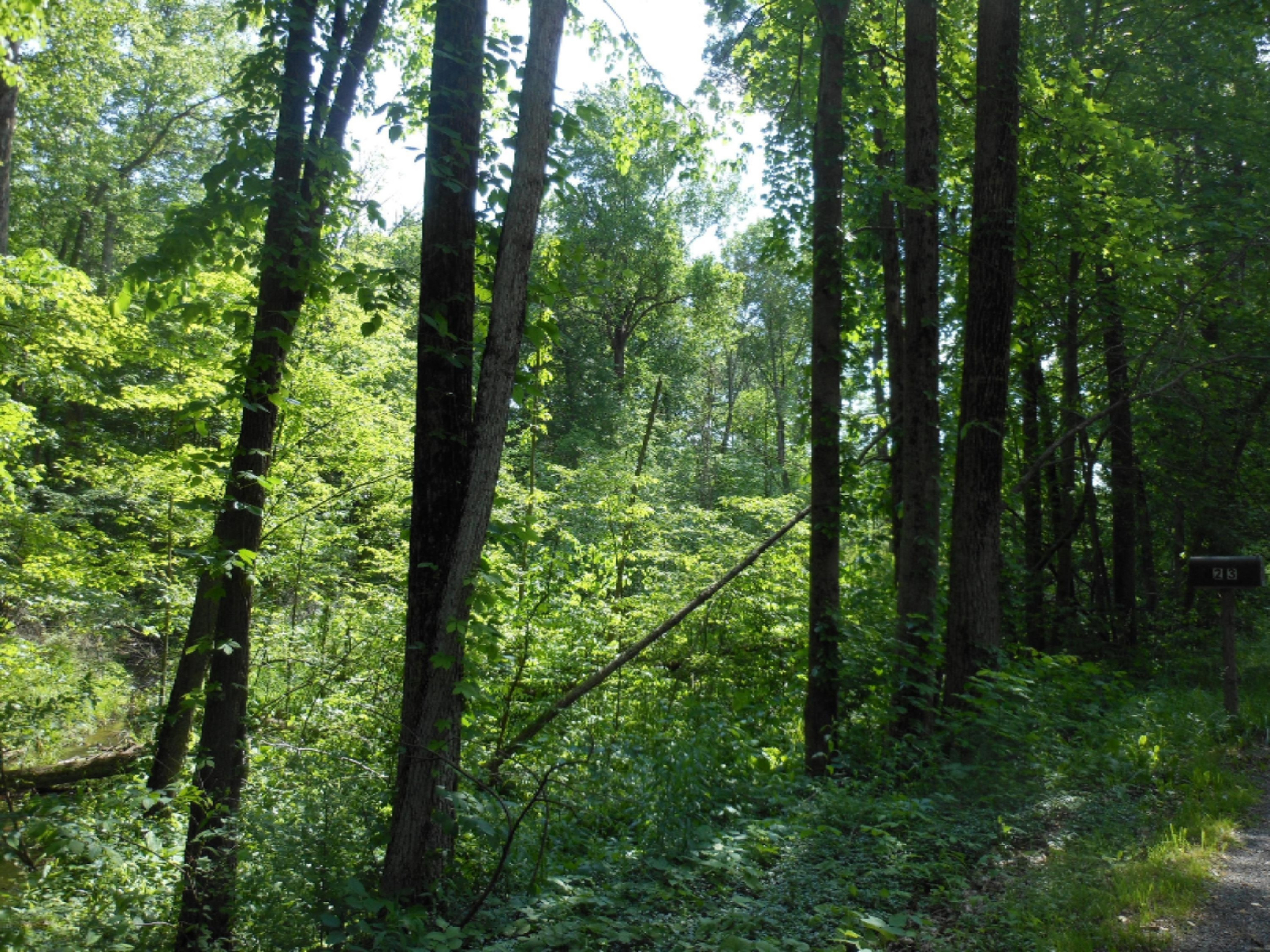 Grange Road Berrien Springs, MI 49103 - Photo 2 of 2 DSCN3614