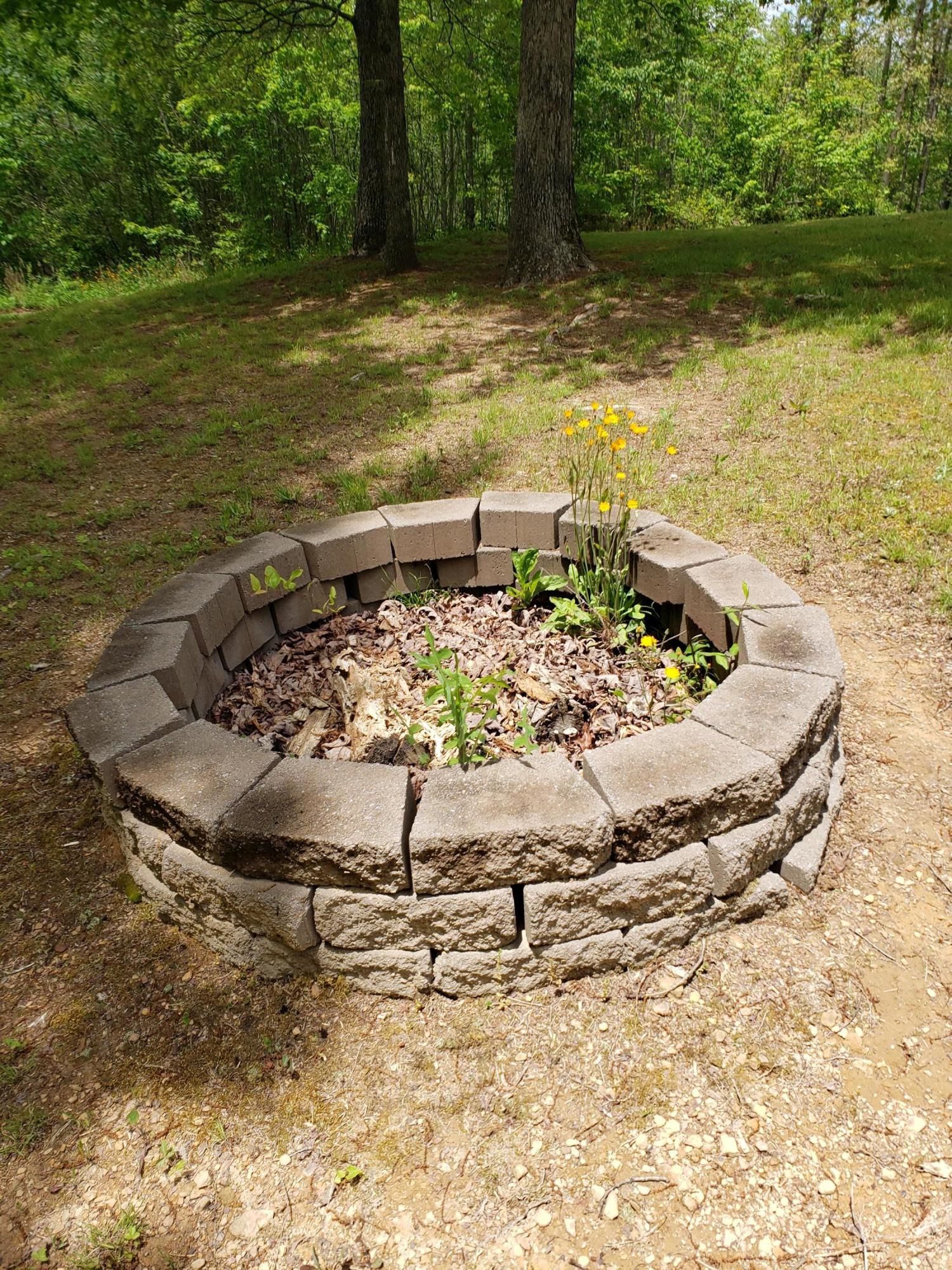 1206 Myers Loop Road Pikeville, TN 37367 - Photo 22 of 25 20200518_125800