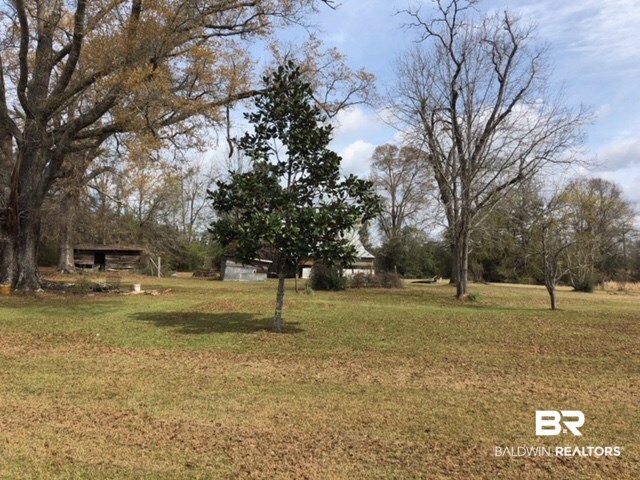 927 Green Road Castleberry, AL 36432 - Photo 8 of 24