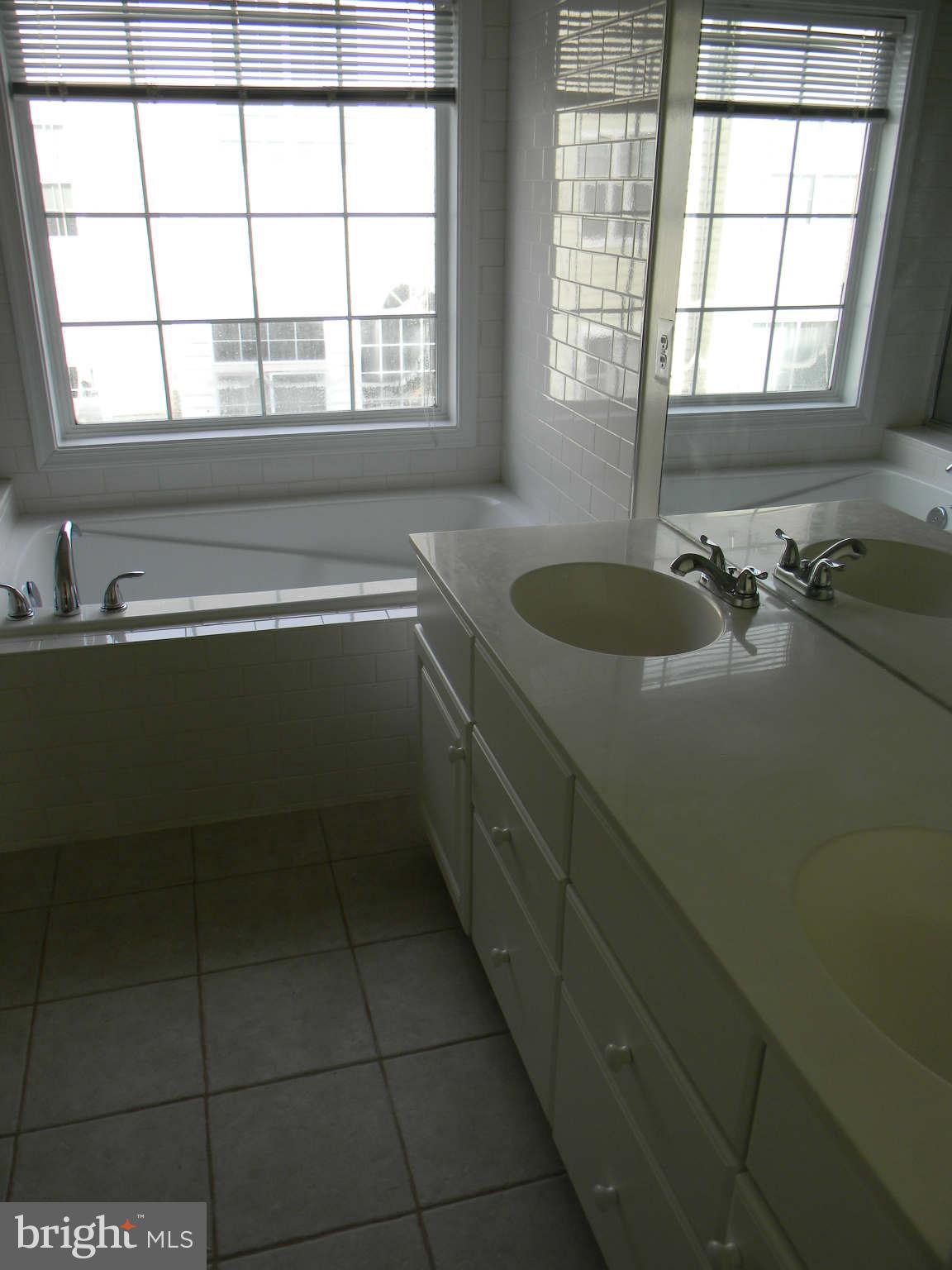 6007 Riddle Walk Alexandria, VA 22312 - Photo 6 of 14 Bath (Master)