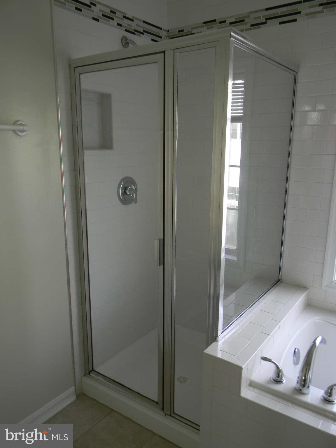 6007 Riddle Walk Alexandria, VA 22312 - Photo 7 of 14 Bath (Master)