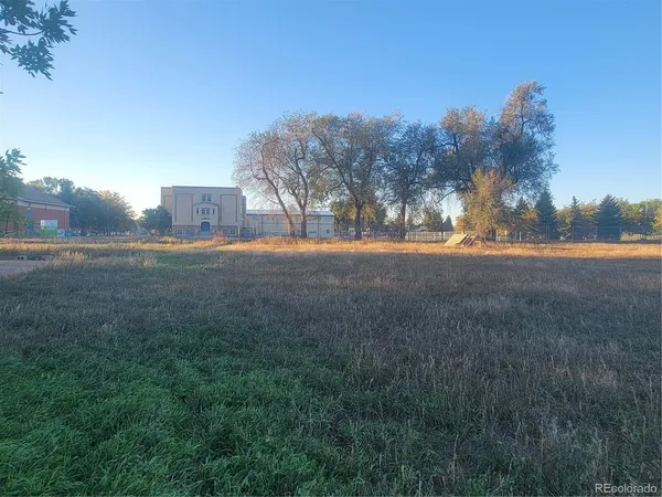 a view of large trees with a big yard