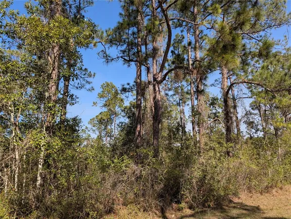 $15,000 | 220 Pandora Drive, Indian Lake Estates, FL 33855