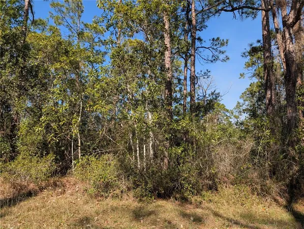 $15,000 | 220 Pandora Drive, Indian Lake Estates, FL 33855