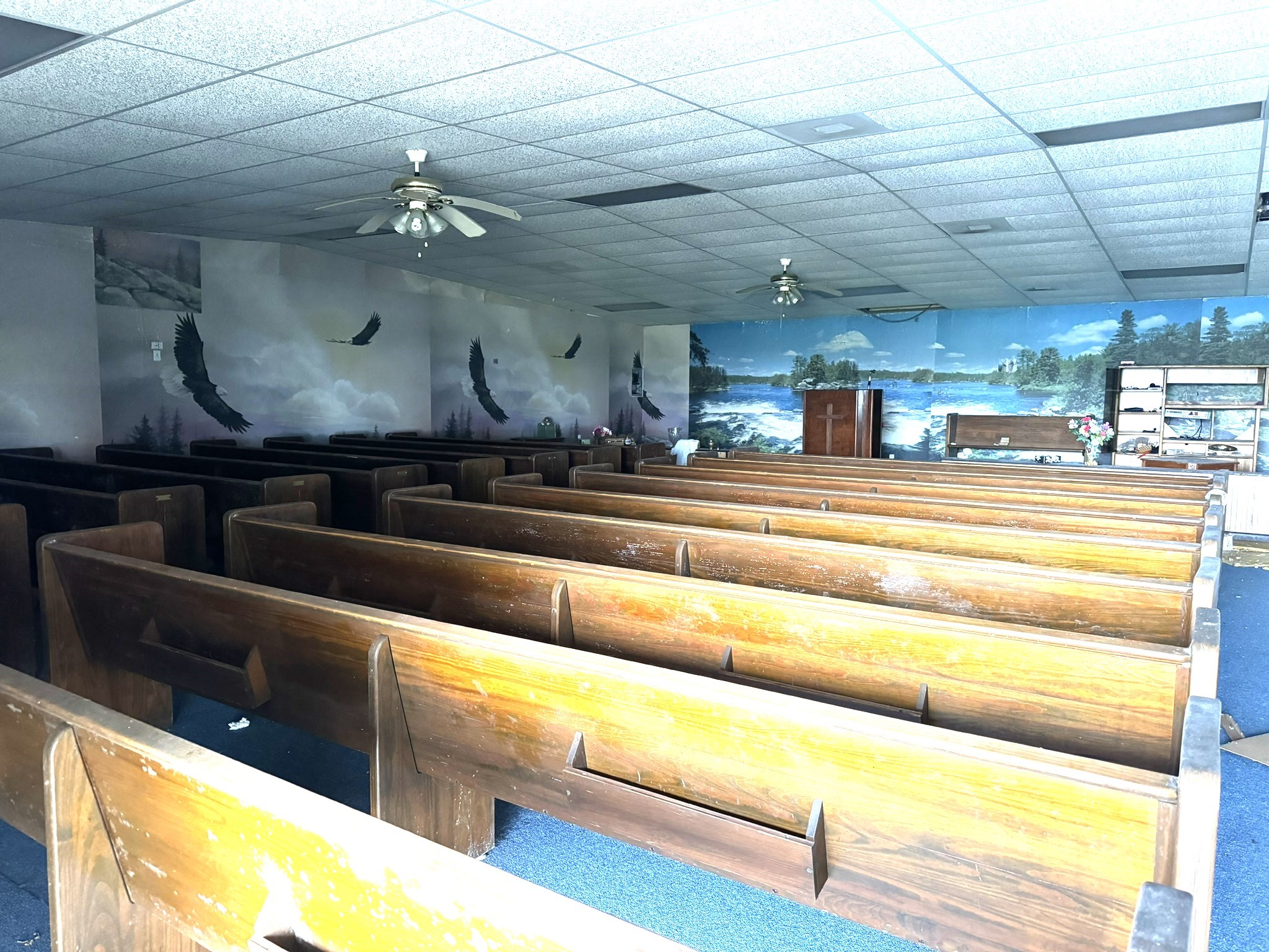 1103 Highway 59 Edna, TX 77957 - Photo 3 of 22