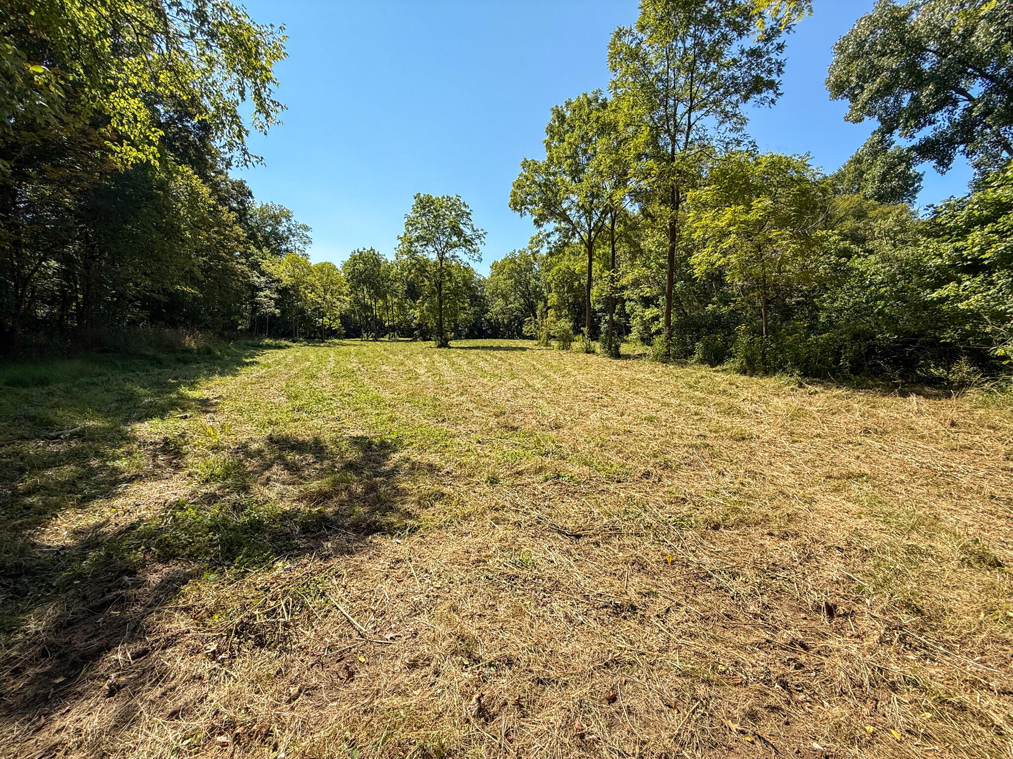 10008 Riddles Run Road Union, KY 41091 - Photo 43 of 50 Gallery Image 43