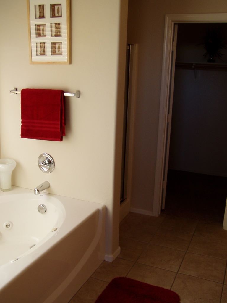 1273 North Exeter Street Chandler, AZ 85225 - Photo 10 of 14 8
