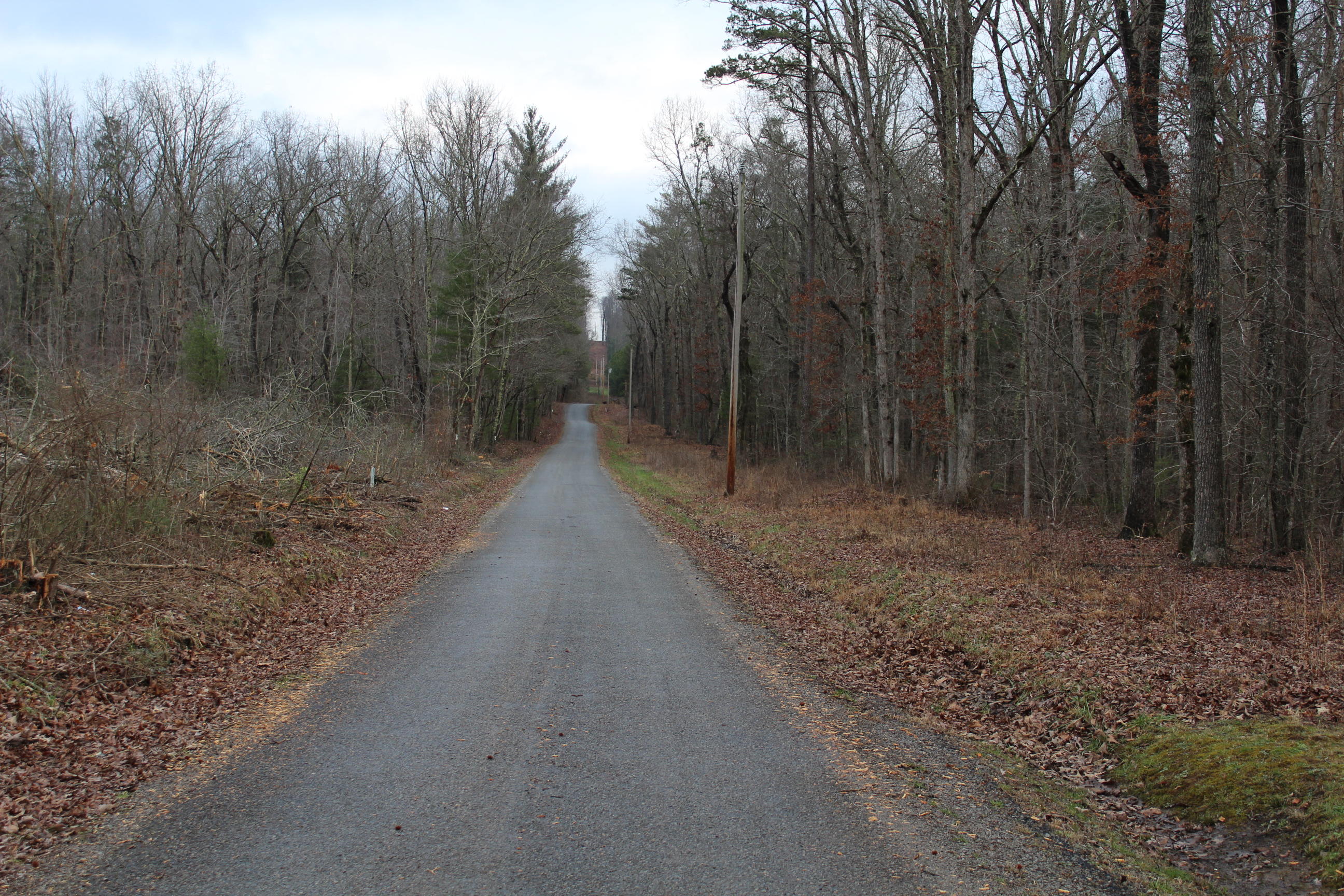5 B Doc Loy Road Grandview, TN 37337 - Photo 1 of 5 IMG_0085