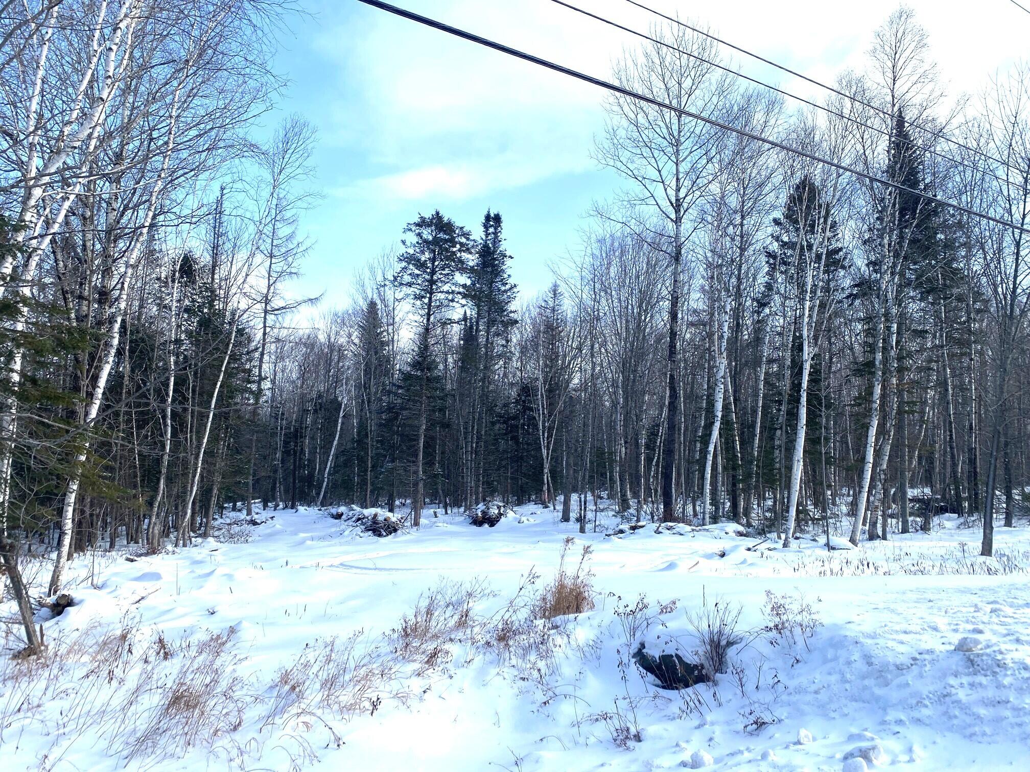 47 Greenville Road, Unit LOT 1 Shirley, ME 04485 - Photo 4 of 9 IMG_4856