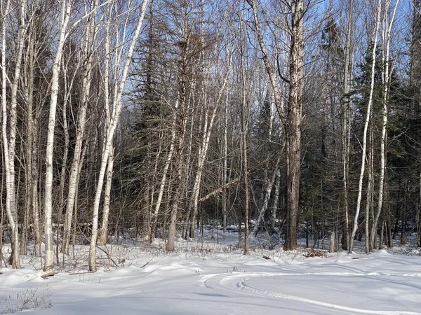 $130,000 | 47 Greenville Road, Unit LOT 1, Shirley, ME 04485