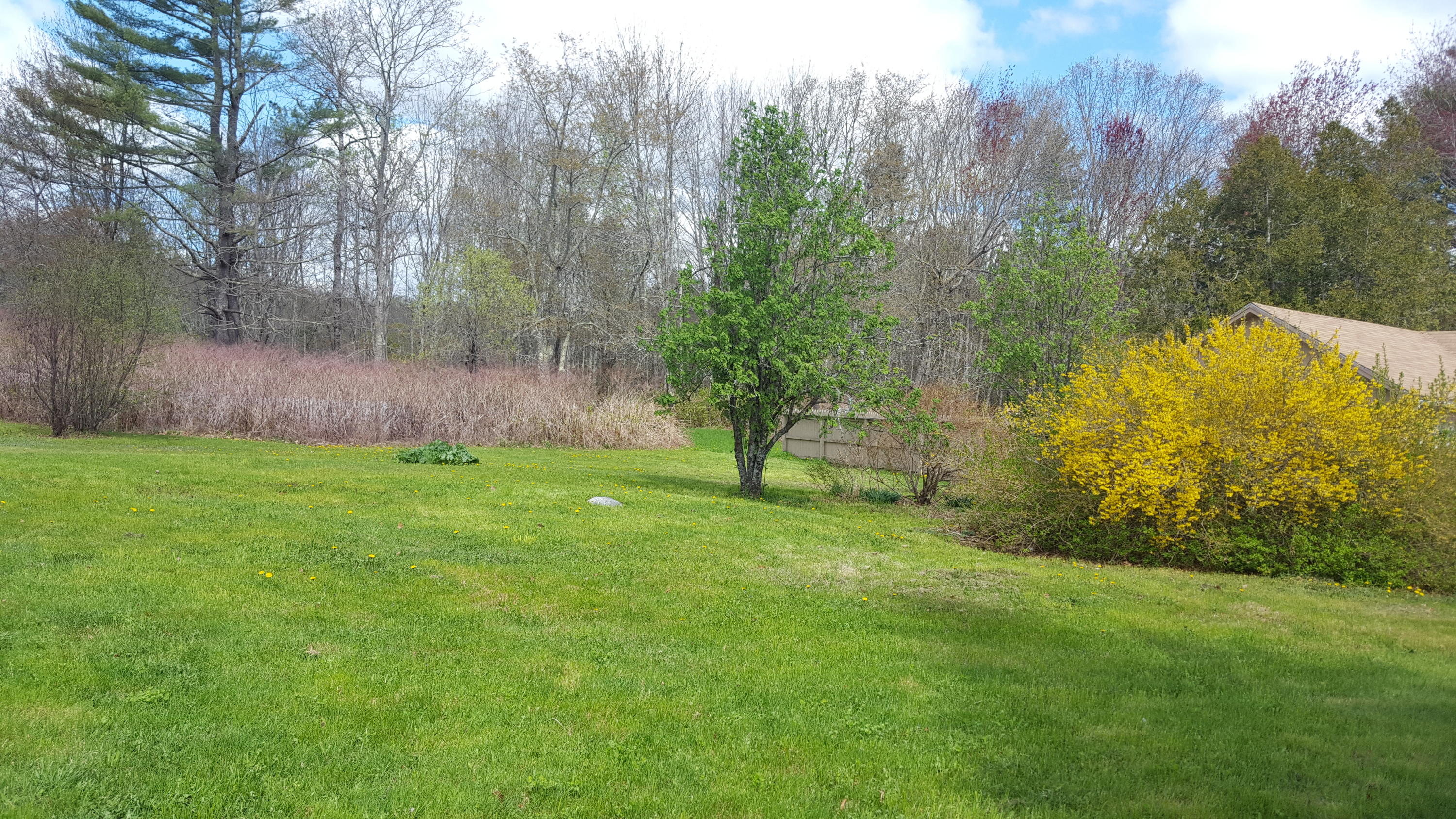 32 Smart Road Belfast, ME 04915 - Photo 4 of 23 20190521_104424