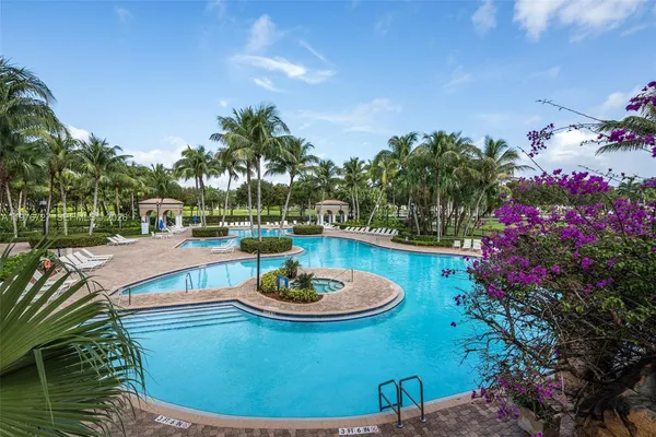 a view of a park with a palm trees