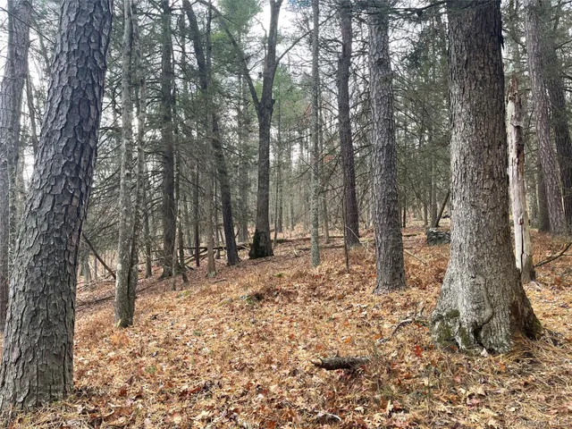 $344,900 | 5769 Highway 97, Narrowsburg, NY 12764