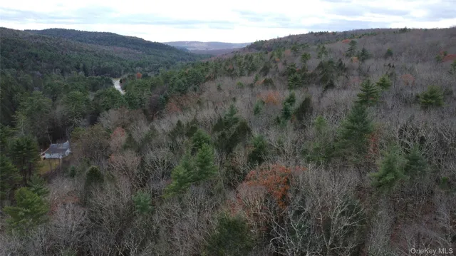 $344,900 | 5769 Highway 97, Narrowsburg, NY 12764