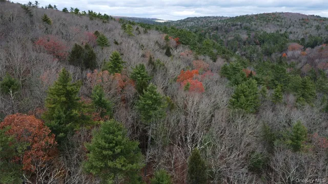 $344,900 | 5769 Highway 97, Narrowsburg, NY 12764