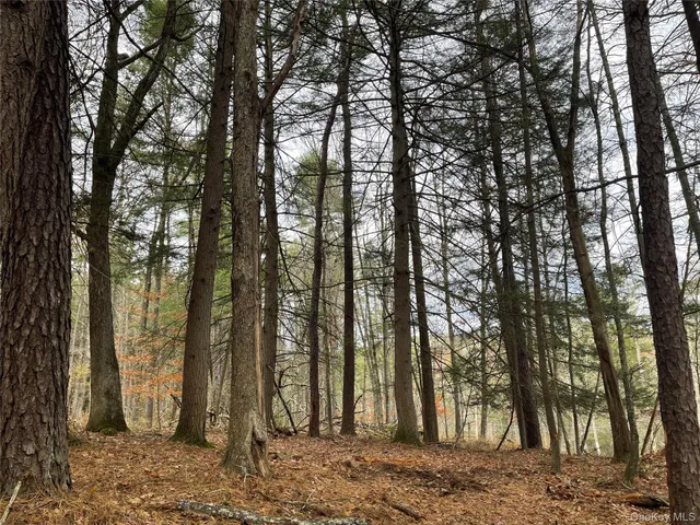 $344,900 | 5769 Highway 97, Narrowsburg, NY 12764