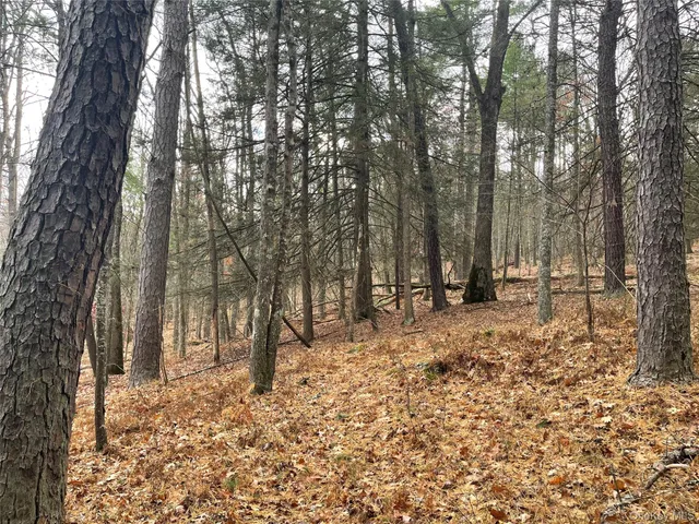 $344,900 | 5769 Highway 97, Narrowsburg, NY 12764