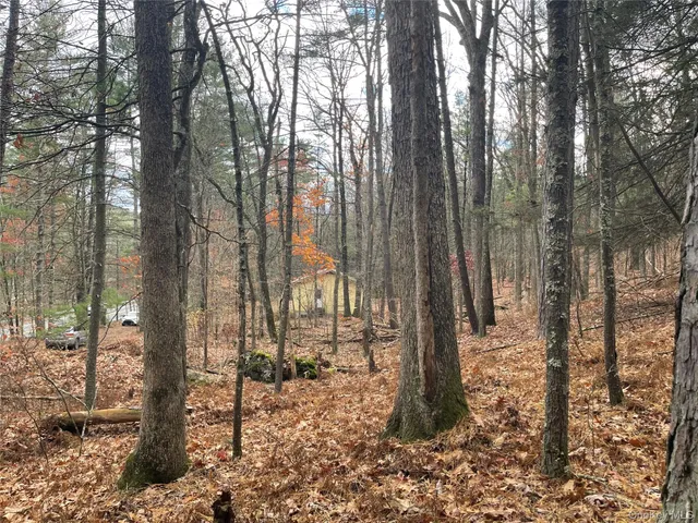 $344,900 | 5769 Highway 97, Narrowsburg, NY 12764