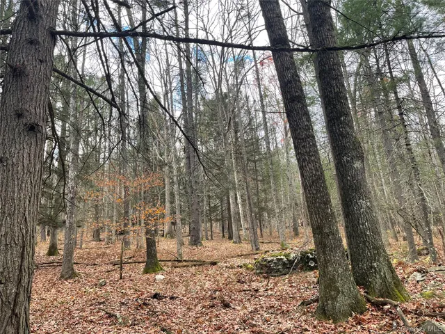 $344,900 | 5769 Highway 97, Narrowsburg, NY 12764