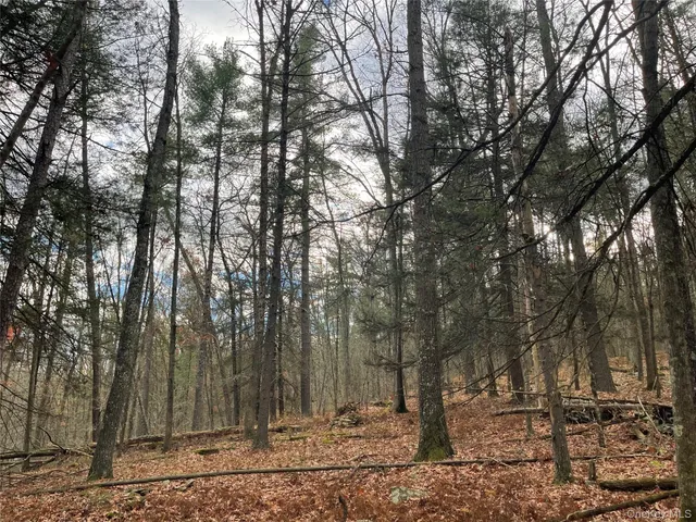 $344,900 | 5769 Highway 97, Narrowsburg, NY 12764