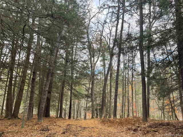 $344,900 | 5769 Highway 97, Narrowsburg, NY 12764