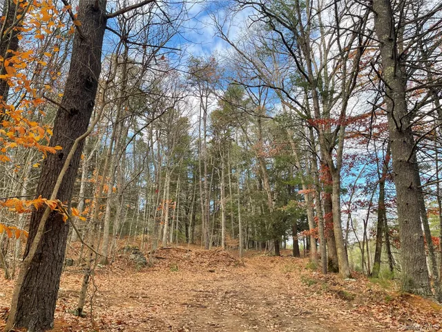 $344,900 | 5769 Highway 97, Narrowsburg, NY 12764