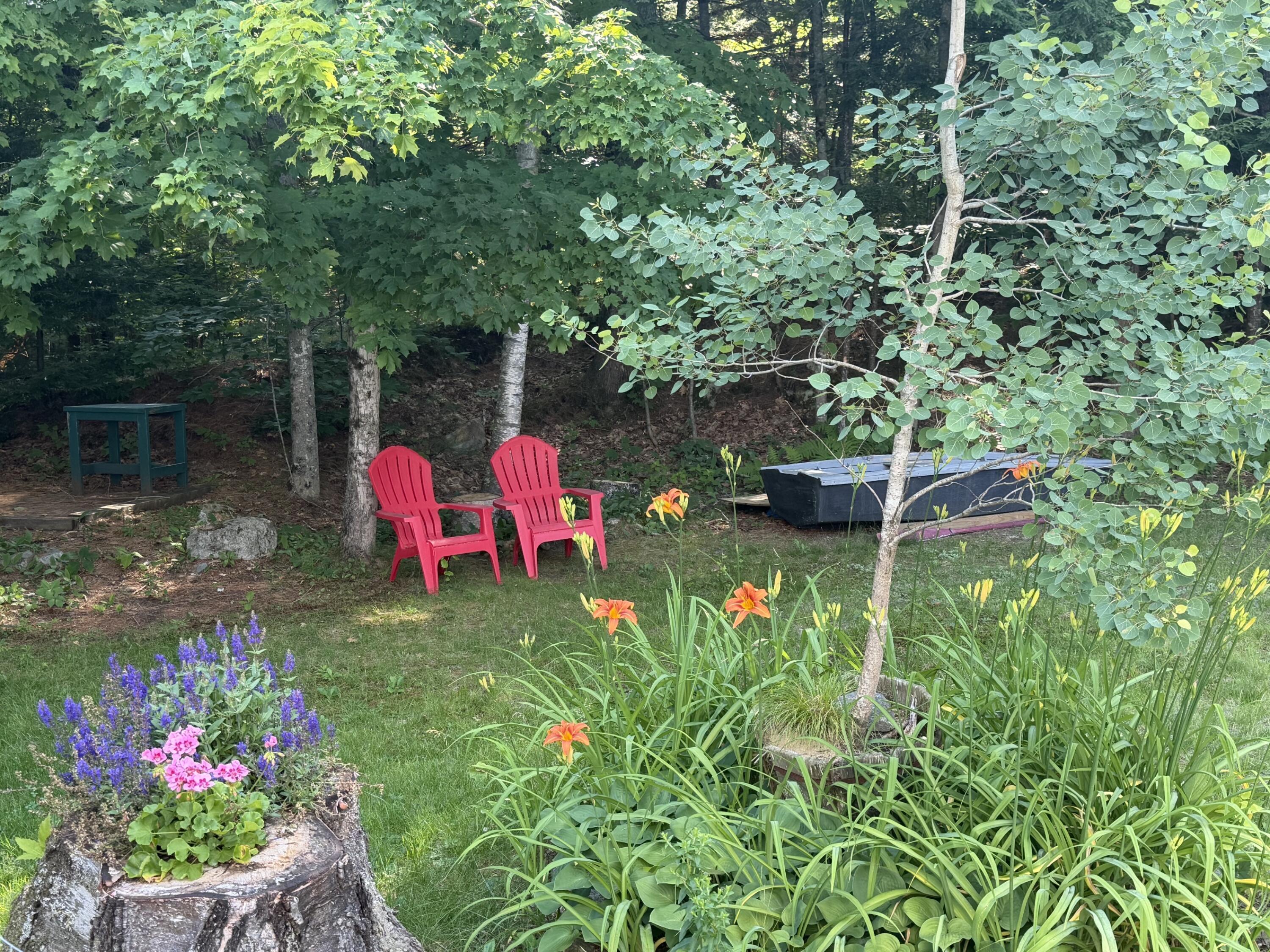 411 East Jay Road Jay, ME 04239 - Photo 43 of 43 yard with flowers