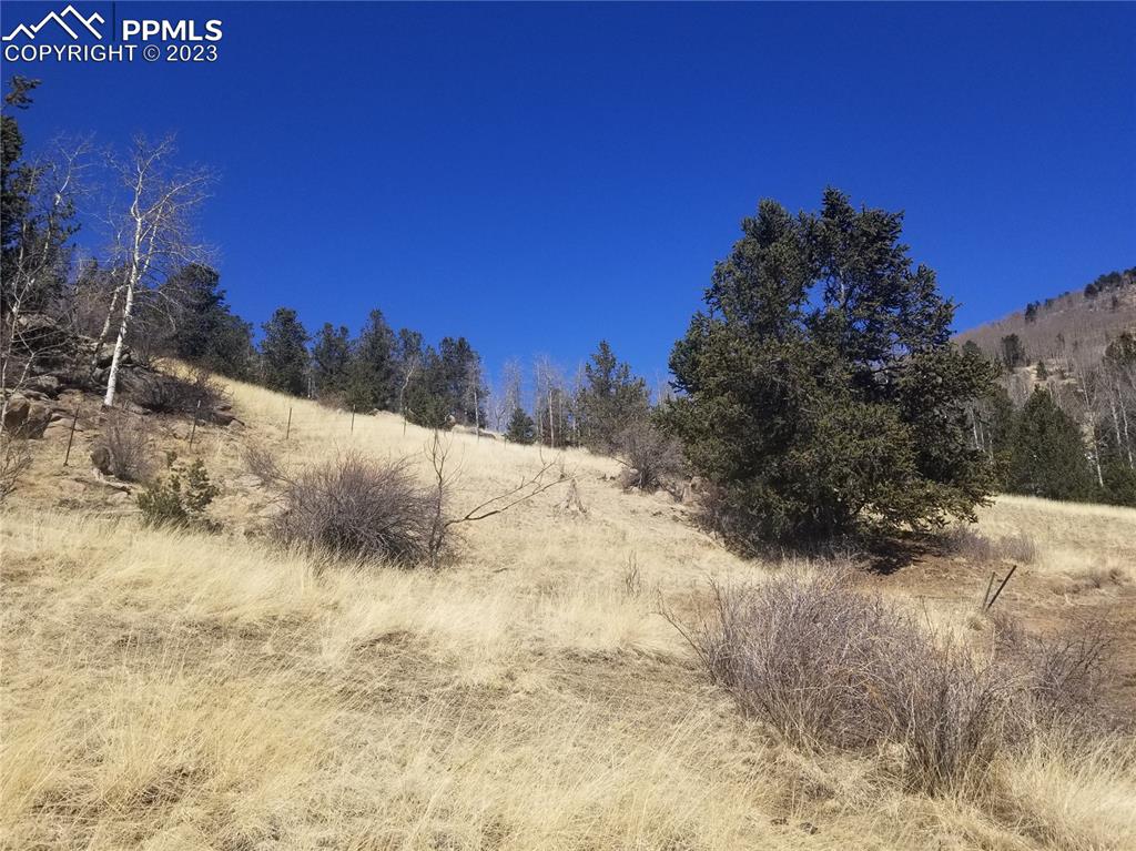 Phantom Canyon Road Victor, CO 80860 - Photo 11 of 15