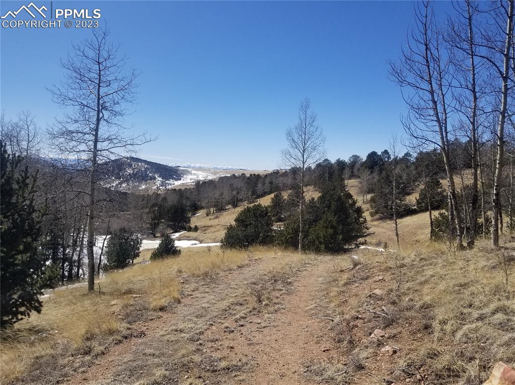 Phantom Canyon Road Victor, CO 80860 - Photo 13 of 15