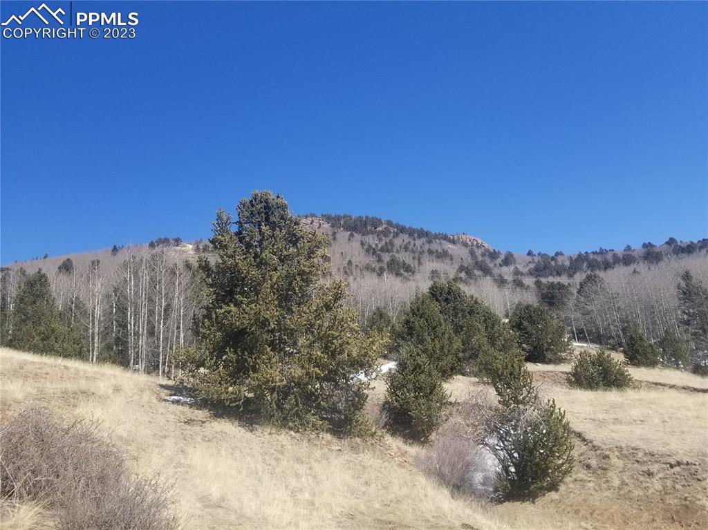 Phantom Canyon Road Victor, CO 80860 - Photo 14 of 15