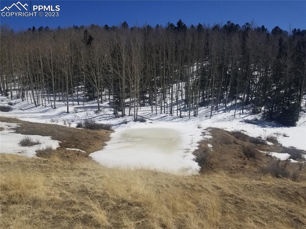 Phantom Canyon Road Victor, CO 80860 - Photo 4 of 15 Pond & aspen Grove