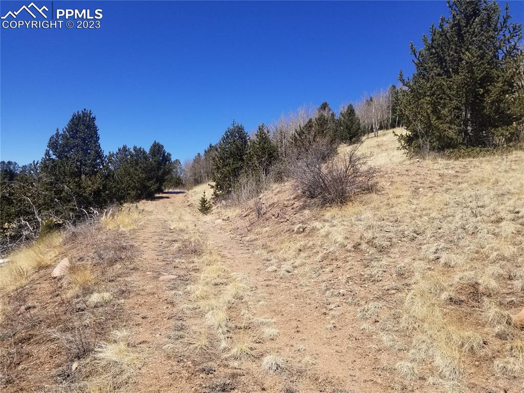 Phantom Canyon Road Victor, CO 80860 - Photo 10 of 15 Drive going up