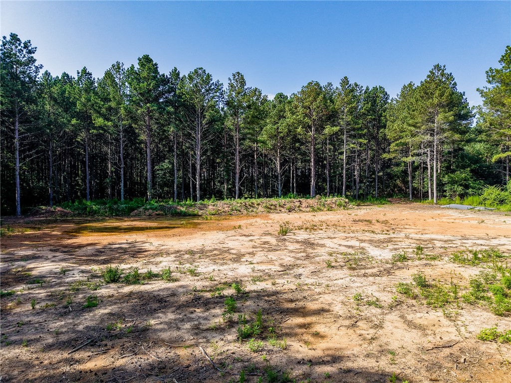 Lot C-1 Rogers Road Pendleton, SC 29670 - Photo 4 of 9 Gallery Image 4