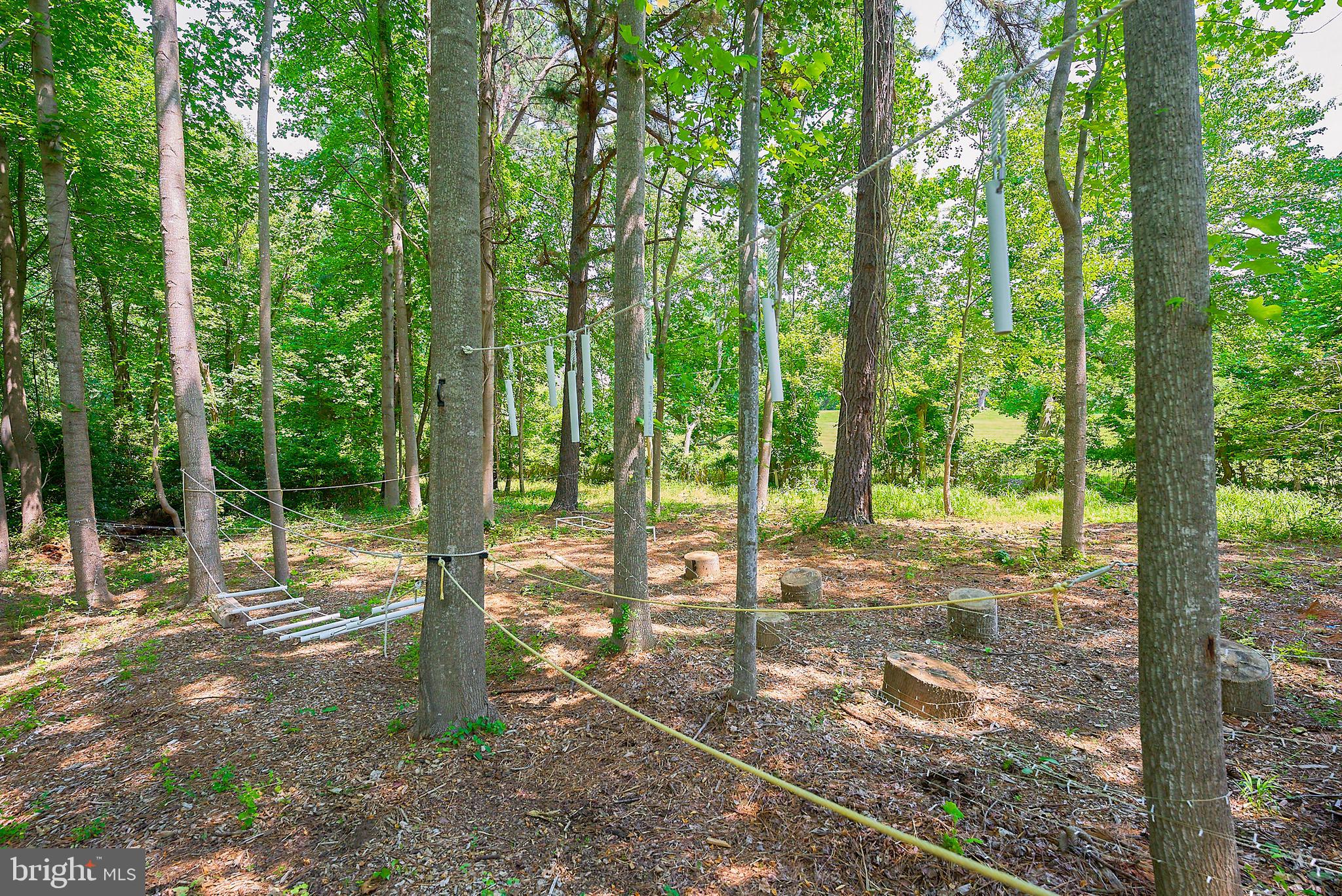 1106 Towlston Road McLean, VA 22102 - Photo 69 of 74 Obstacle training course