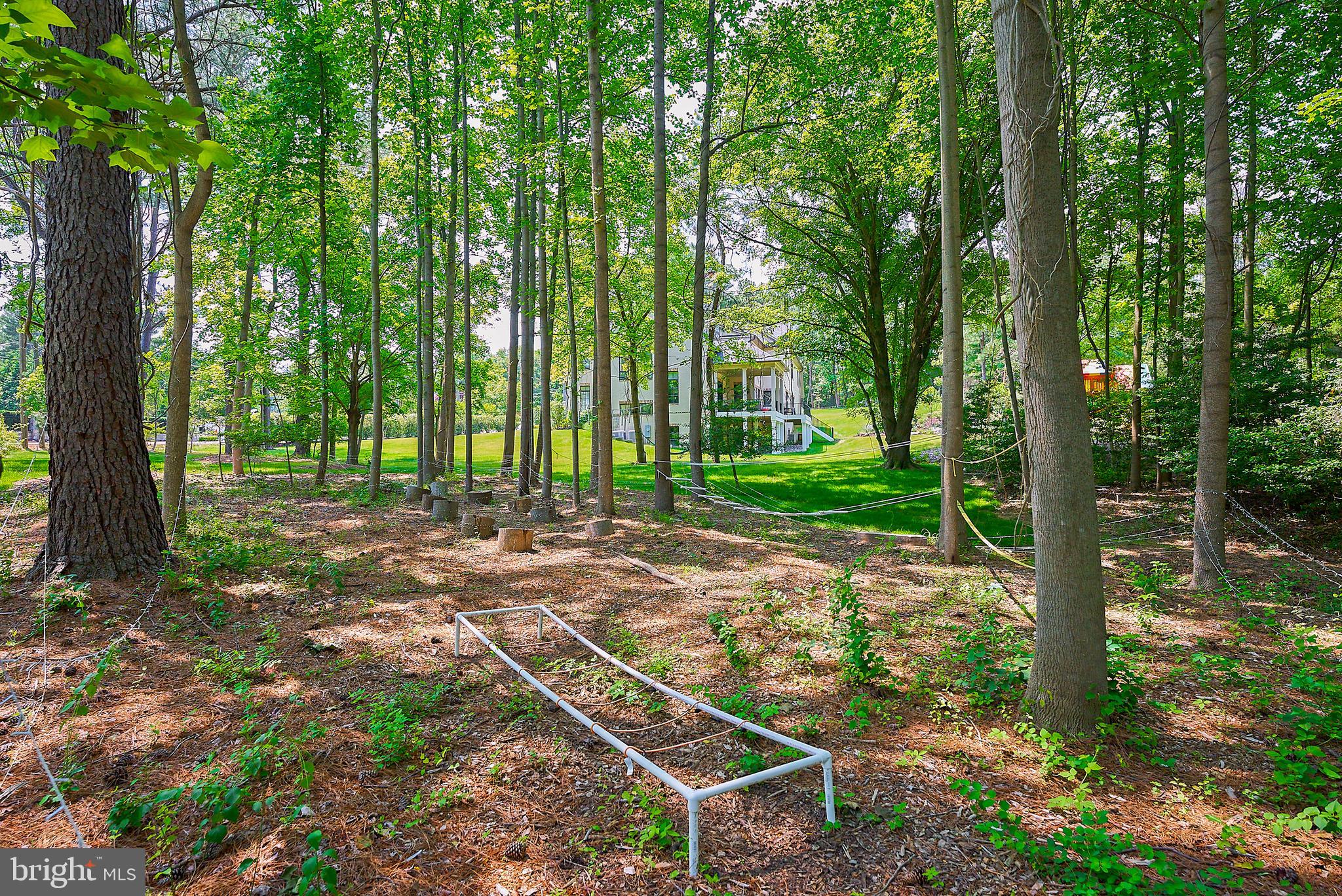 1106 Towlston Road McLean, VA 22102 - Photo 70 of 74 More Obstacle training course
