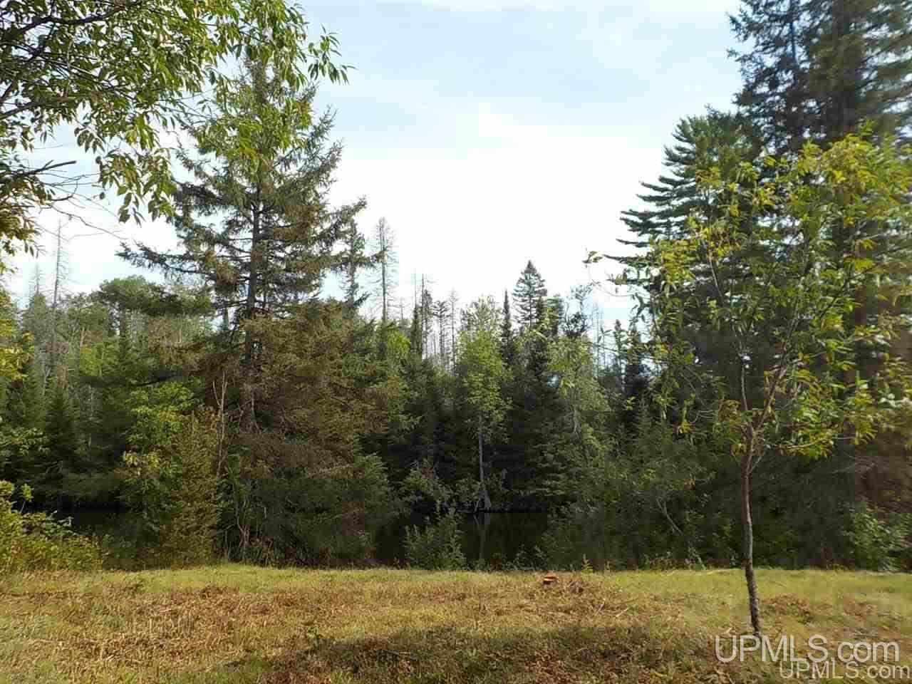 148 River Road Crystal Falls, MI 49920 - Photo 39 of 45
