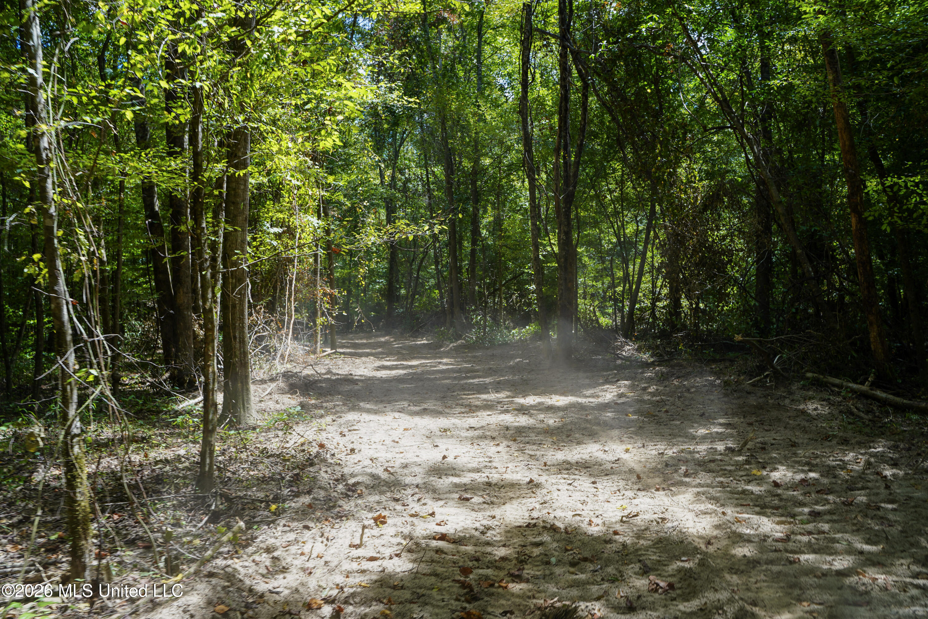 Mcintyre Road Brandon, MS 39042 - Photo 61 of 100 83-DSC08681