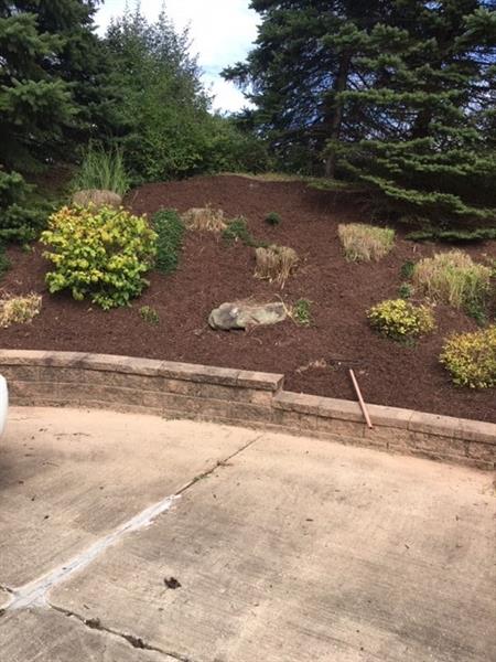 70 Indian Fields Trail Lower Burrell, PA 15068 - Photo 3 of 20 Back yard