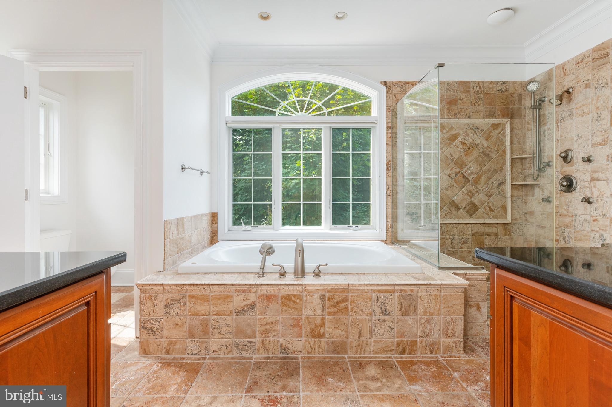 333 Greenbank Road Bryn Mawr, PA 19010 - Photo 17 of 45 Primary Bath