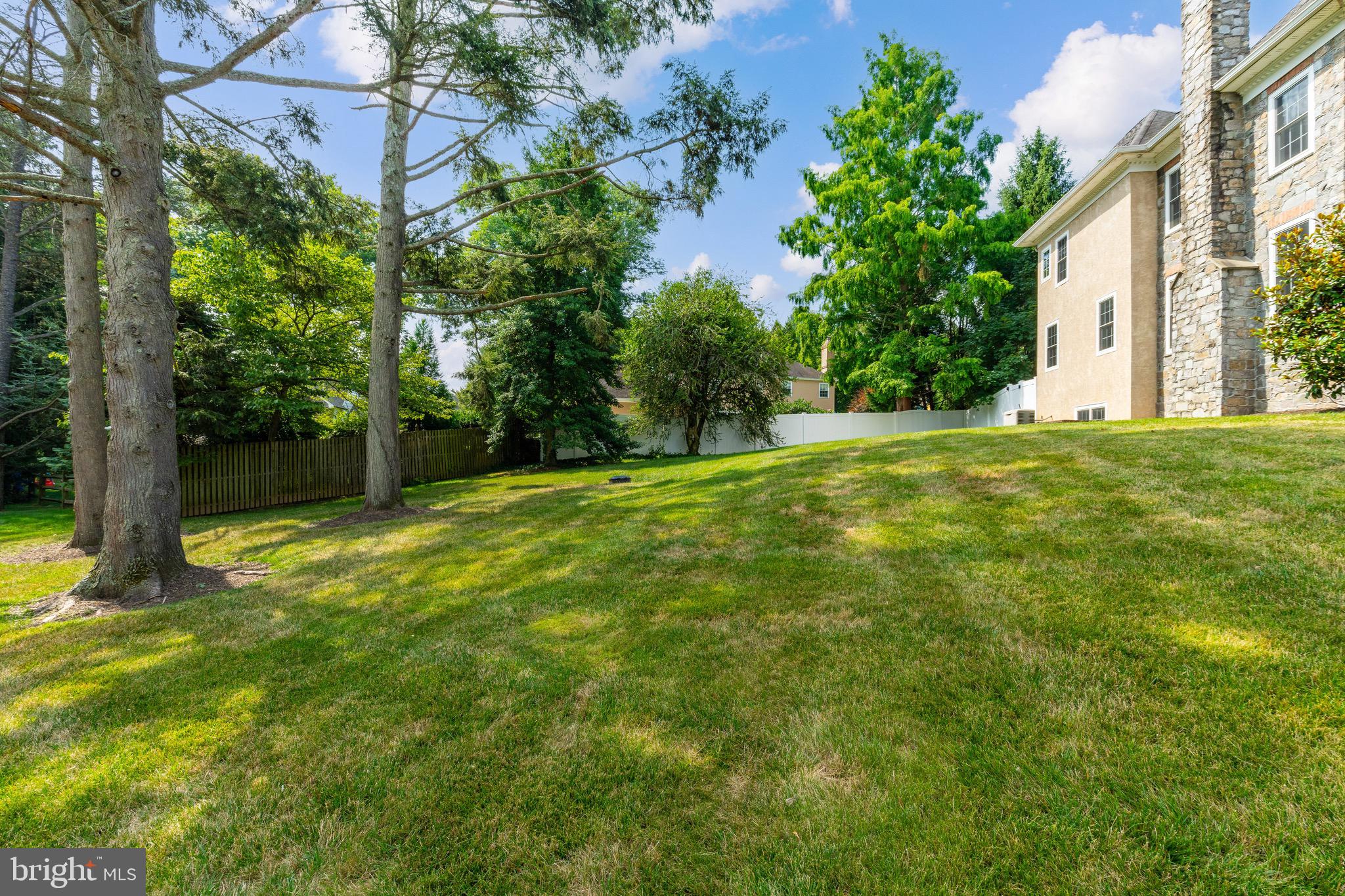 333 Greenbank Road Bryn Mawr, PA 19010 - Photo 41 of 45 Side Yard