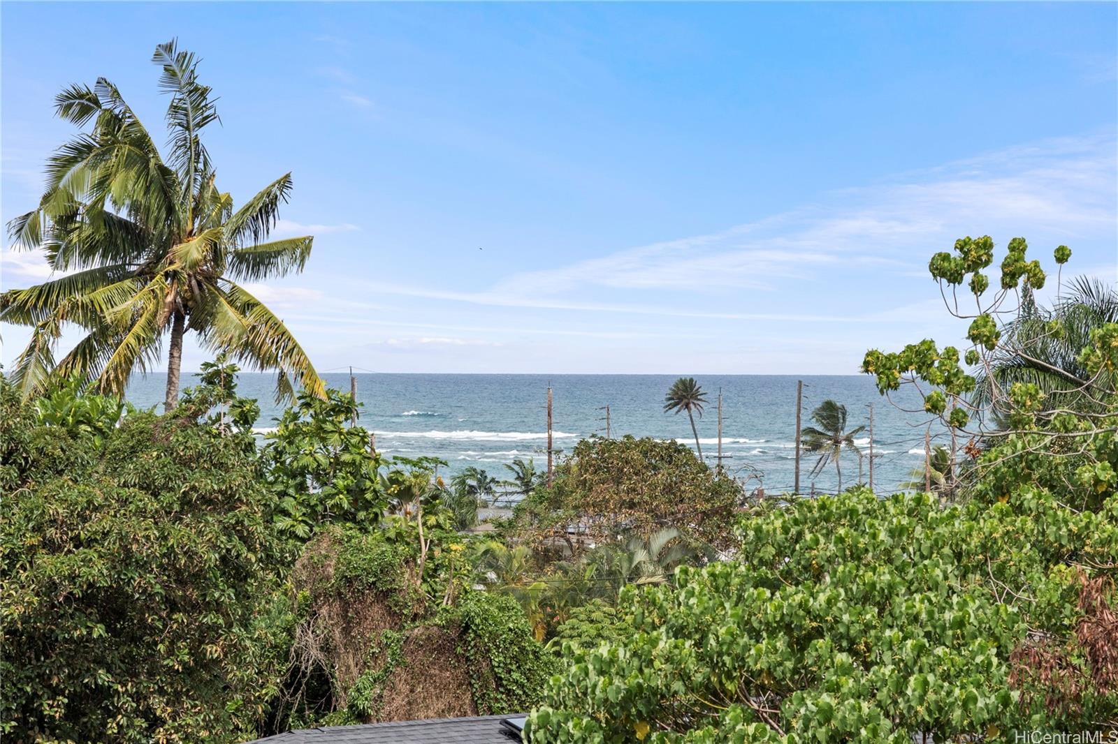 54-230 Hauula Homestead Road, Unit A Hauula, HI 96717 - Photo 22 of 22 a vase of flowers sitting on a table with a potted plant