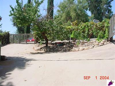 9202 South Kings River Road Reedley, CA 93654 - Photo 5 of 10 Gated circle drive with your own row of grapevines.