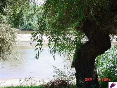 9202 South Kings River Road Reedley, CA 93654 - Photo 7 of 10 Tree lined waterway.