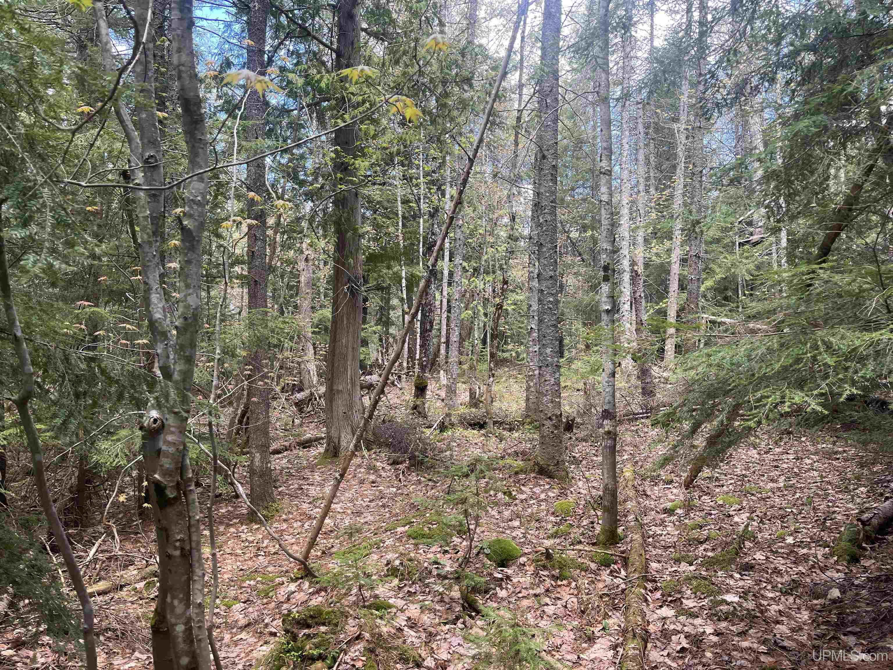 450 Rd Seney Mi 49883 Road Seney, MI 49883 - Photo 16 of 33