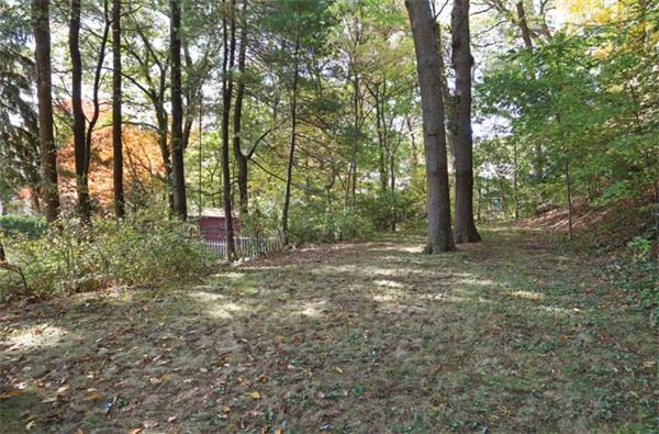 59 Leland Road Brookline, MA 02467 - Photo 10 of 10 a view of a forest with trees